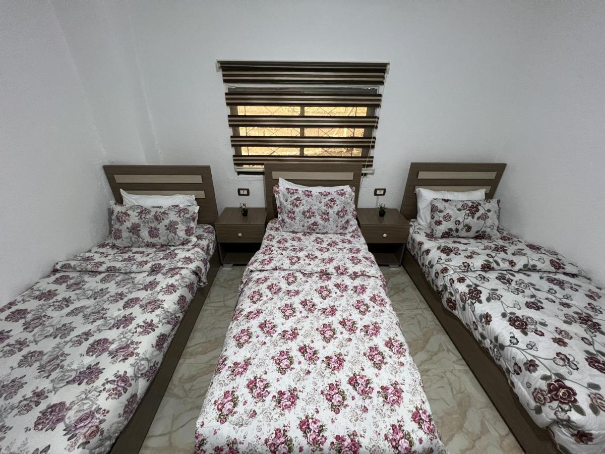Z3 Hostel Wadi Musa Dış mekan fotoğraf